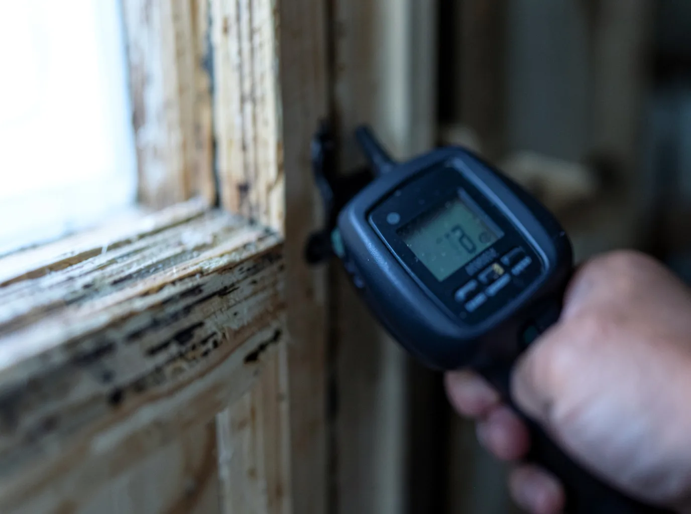 Moisture Inspection And Documentation in Bellaire, OH